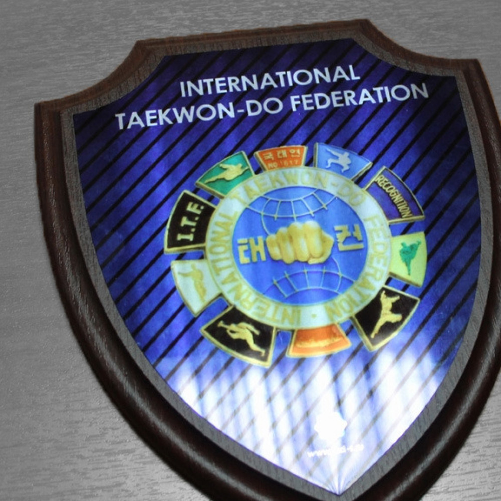 Плакетка в виде щита 20х24см